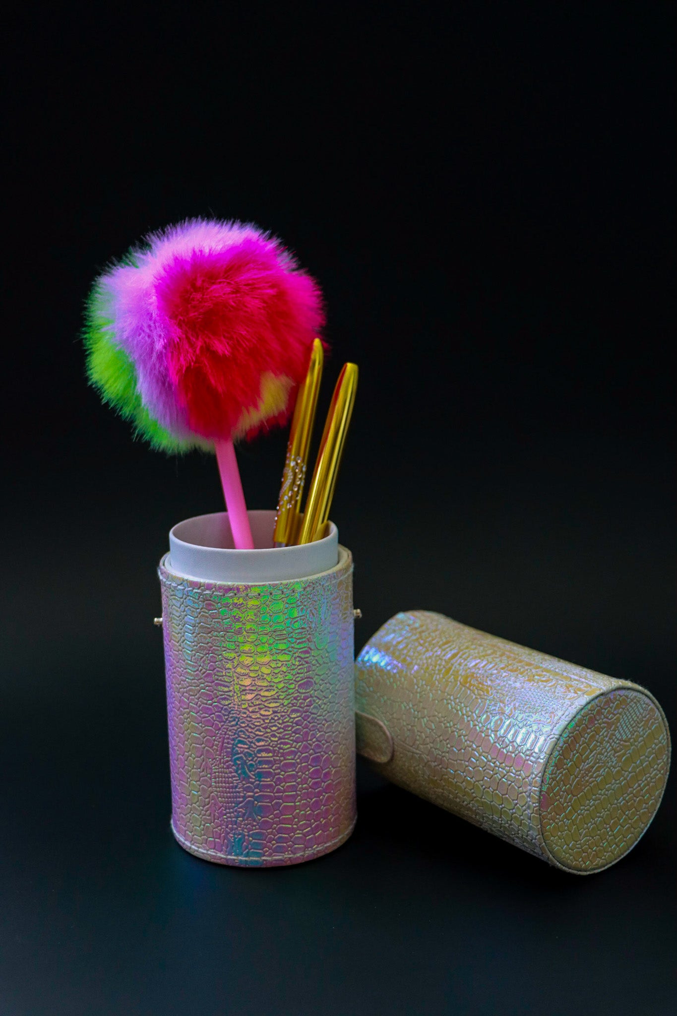 Estuche tornasol para pinceles.