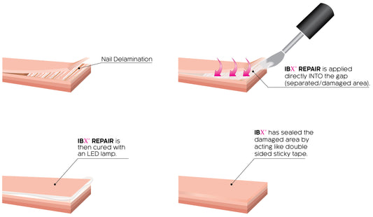 IBX E Mini Pack
